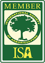 ISA website home page